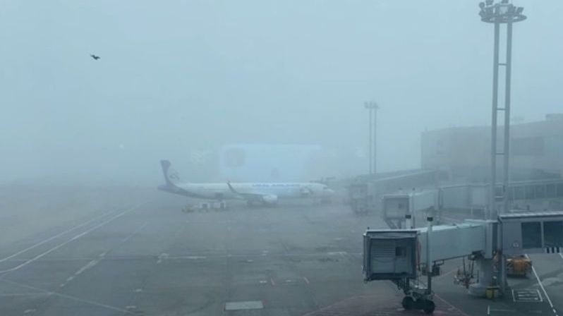 Moskevské letiště paralyzovala mlha, která by se dala krájet